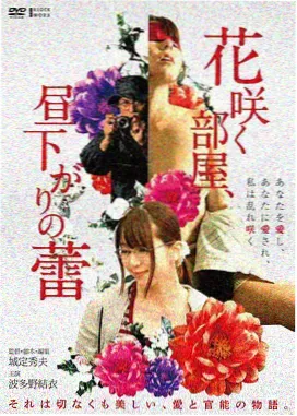 海边的第九封信短片封面